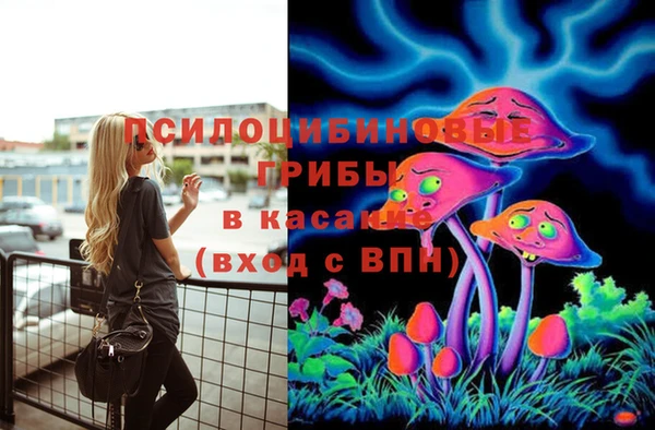 метадон Горняк