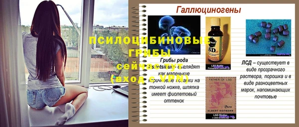 таблы Михайловск
