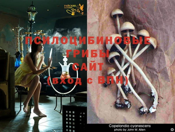 марихуана Медвежьегорск